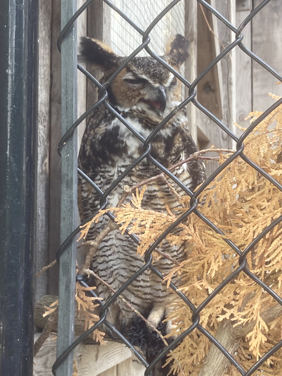 Shannon Lee(Parkins) tweet media