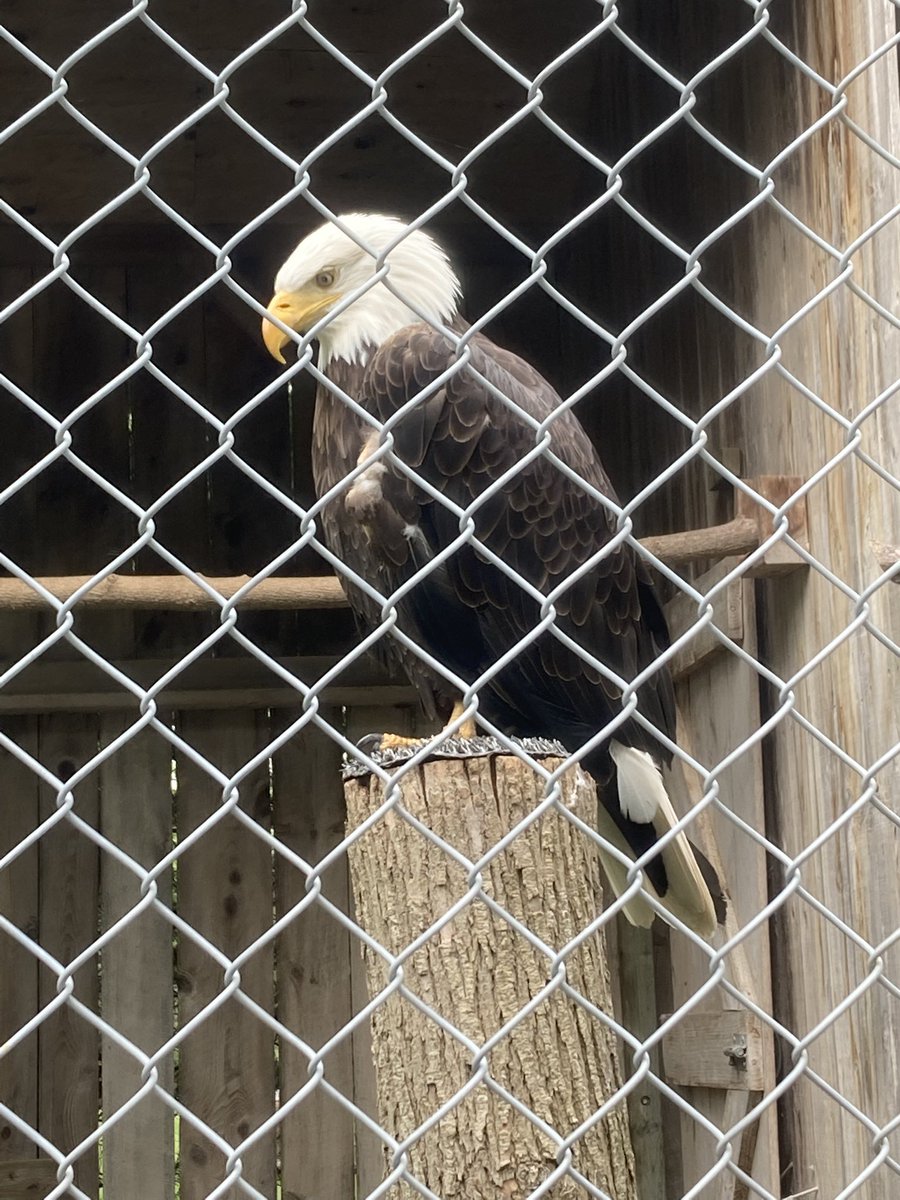 Shannon Lee(Parkins) tweet media