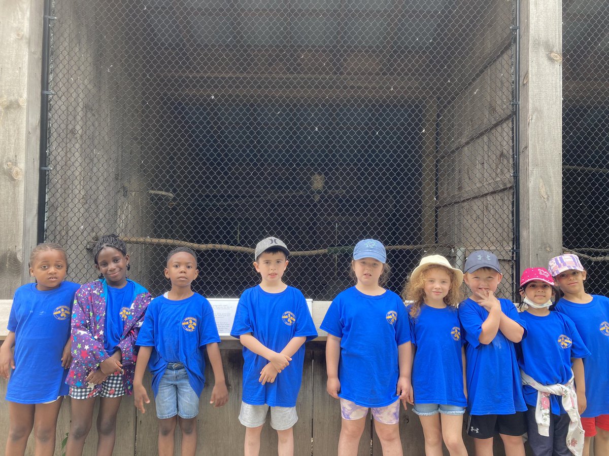 Shannon Lee(Parkins) tweet media