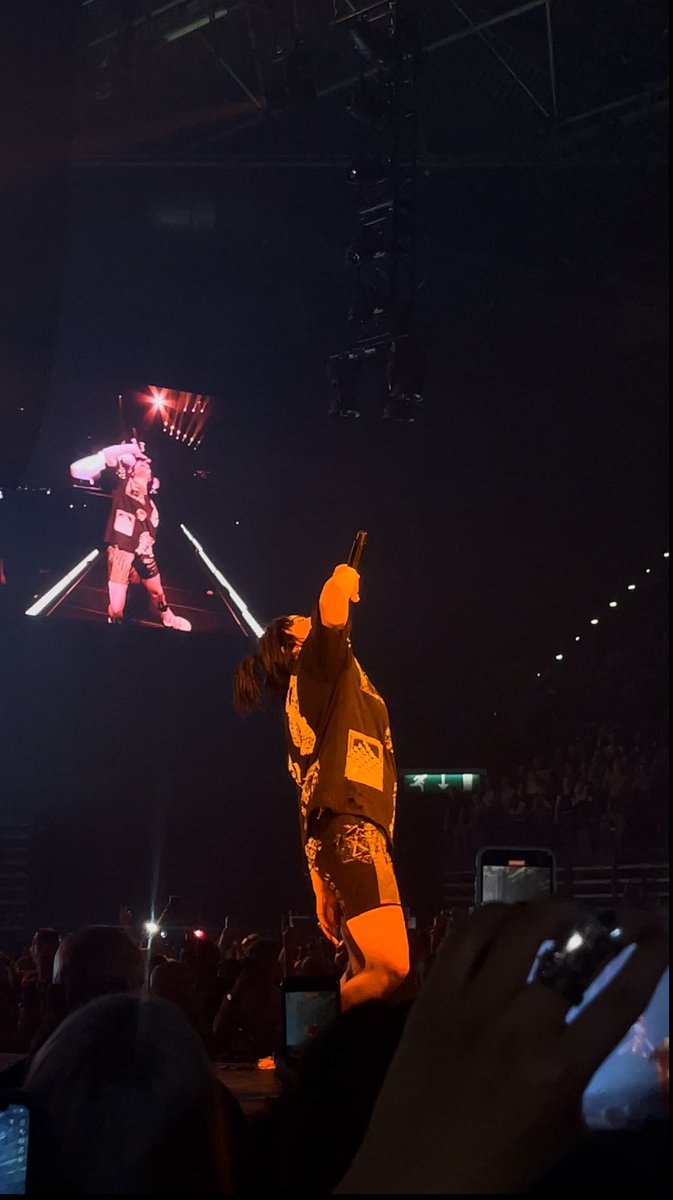 ghostofaasha's tweet photo. Saw my wife last night@billieeilish #HTEBirmingham #Birmingham #concet #BillieEilish https://t.co/CVr7YkpuQ3