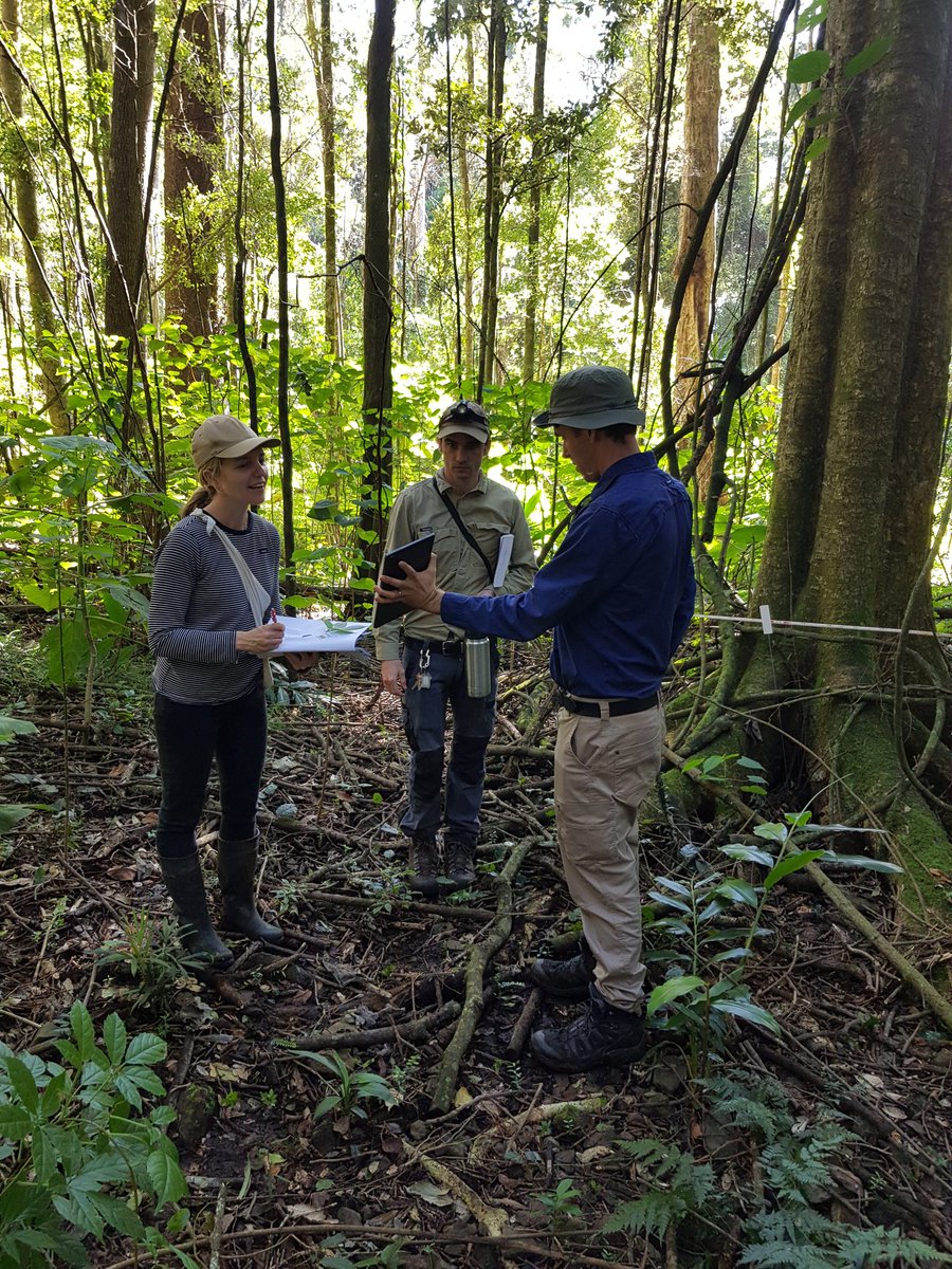 We are back from a lovely couple of days monitoring post-fire recovery plota at #lamington NP with the excellent <a href="/hlthylandwater/">Healthy Land & Water</a> team. Thanks <a href="/QPWS/">Qld Parks & Wildlife</a> for having us! <a href="/TERN_Aus/">TERN</a> @envirogov <a href="/SuzanneProber/">Suzanne Prober</a> @SamNicol16 @BroadhurstLinda <a href="/CSIRO/">CSIRO</a>