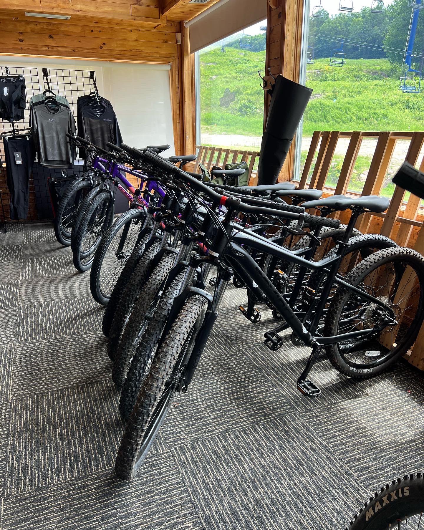 Camp fortune online mountain bike
