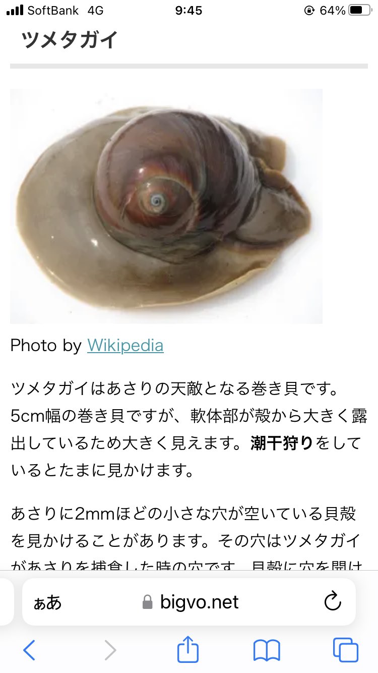 تويتر Sciff على تويتر 個以上拾ったと思う 謎のゴミ なんやコレ T Co Hix8vdxcoz