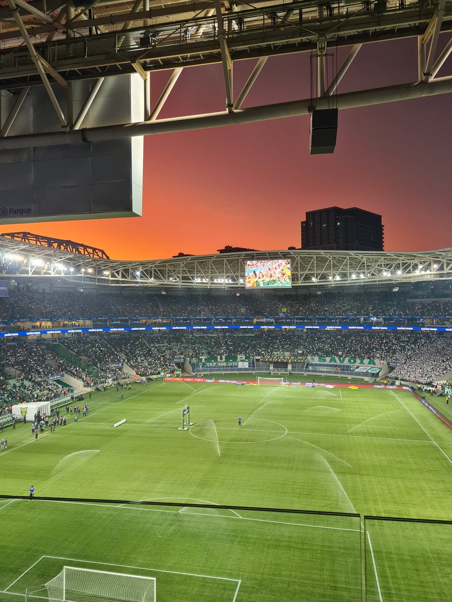 Só o time do Abel é mais bonito q essa foto. 💚🤍