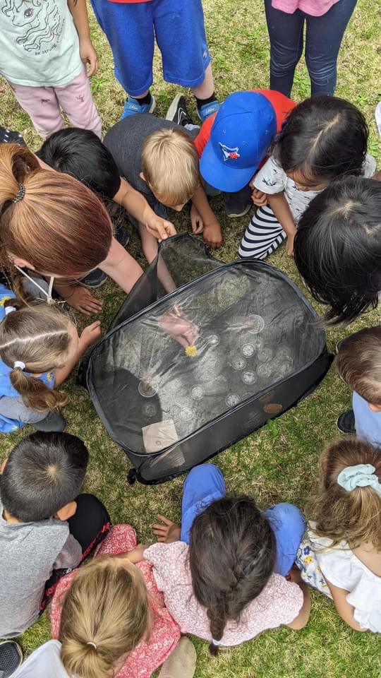 St Teresa of Avila tweet media