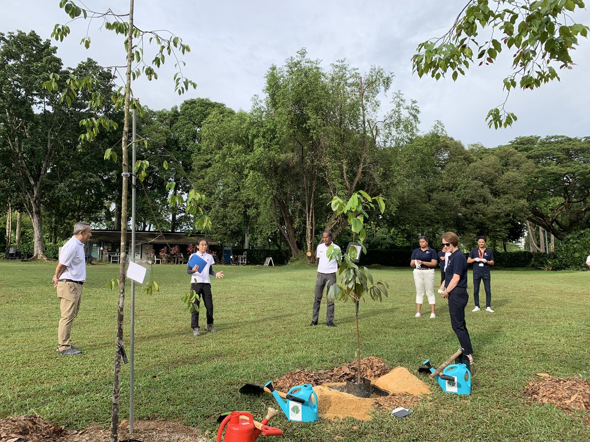 mel_yseali's tweet image. Happy to be here planting trees at the Minden Stateland as part of the @UKinSingapore Queen’s Canopy Tree Planting and the @nparksbuzz #OneMillionTreesMovement planting 70 trees for each year of Her Majesty’s reign. @NUSCNCS @Kelly_Siman