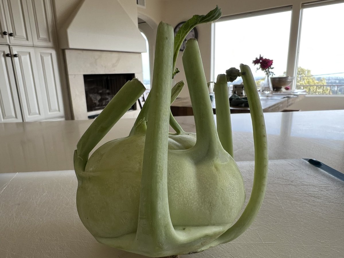 producergirl tweet media