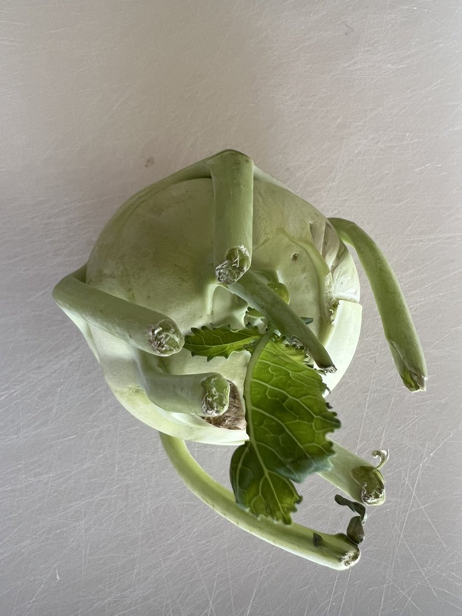 producergirl tweet media