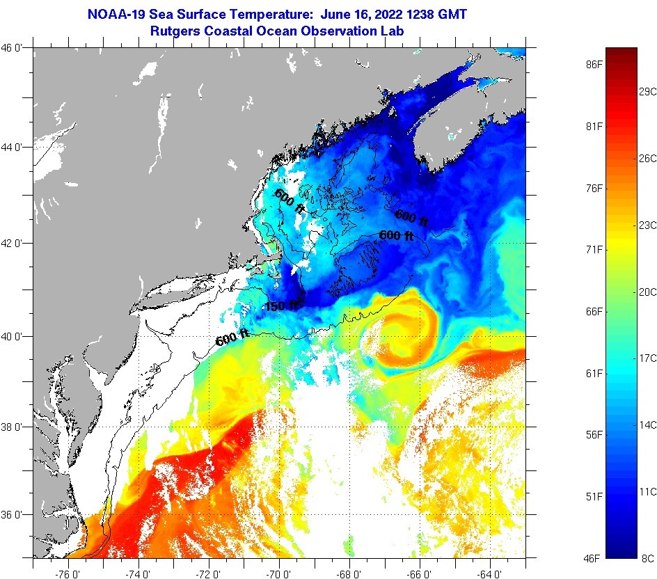 What Is The Labrador Current Water Temperature