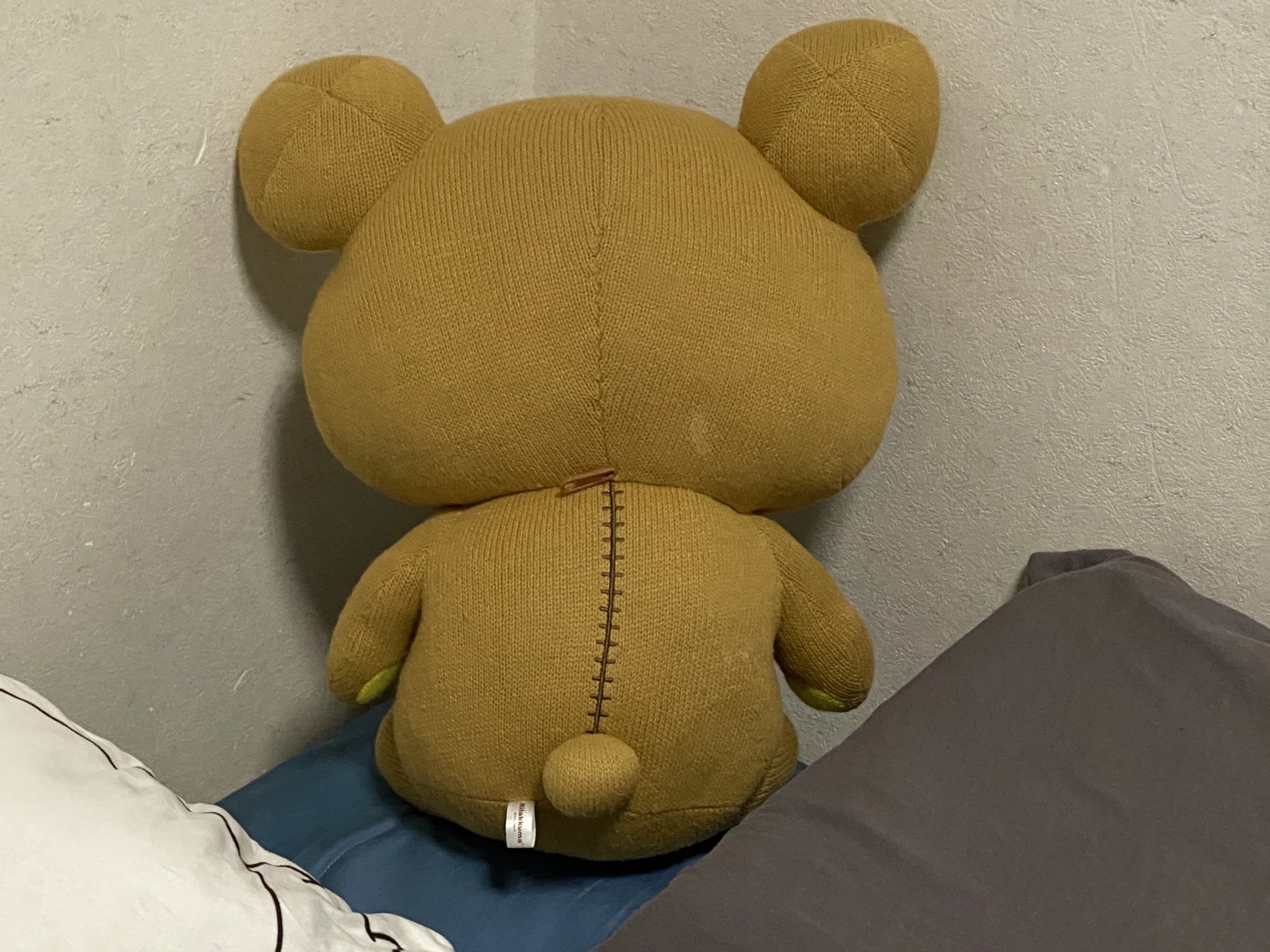 被り王メロ 酒カス実況者 リラックマってolの家に突然住みついた着ぐるみを着た何者か なんですよね これ公式設定です 中身おじさん説とかある笑 完全にホラー 毎日ダラダラして おやつとご飯の事ばかり考えてるらしい 被り王も動物の
