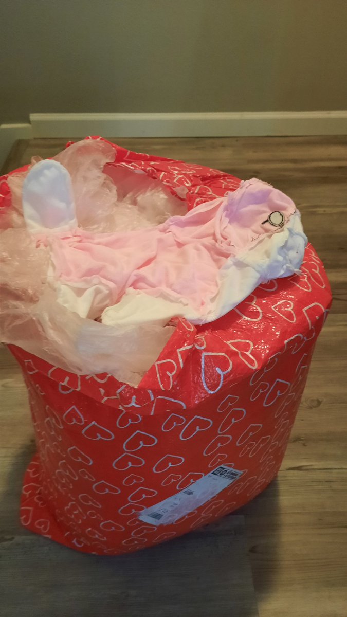 kittenmod's tweet photo. Behold. This bag is CRAMMED with cheesecake skins https://t.co/U5oHIDlWgj