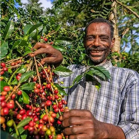 Welcome to Ethiopia, land of sensational smiling faces!
#welcomingvibes #beautifulpeople #Hospitablecommunities #landoforigins #travelblogging #traveltoethiopia #traveltheworld #Ethiopiancultures #tourismandhospitality  @Landoforigins @motethiopia @flyethiopian @VisitOromia