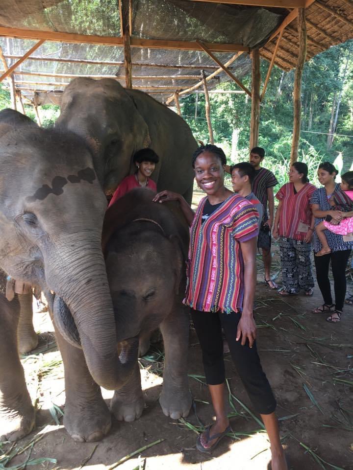 TheAlexMerritt's tweet photo. That lady must have done something to that #elephant     https://t.co/nq1TlIUben https://t.co/LlwIRxYero