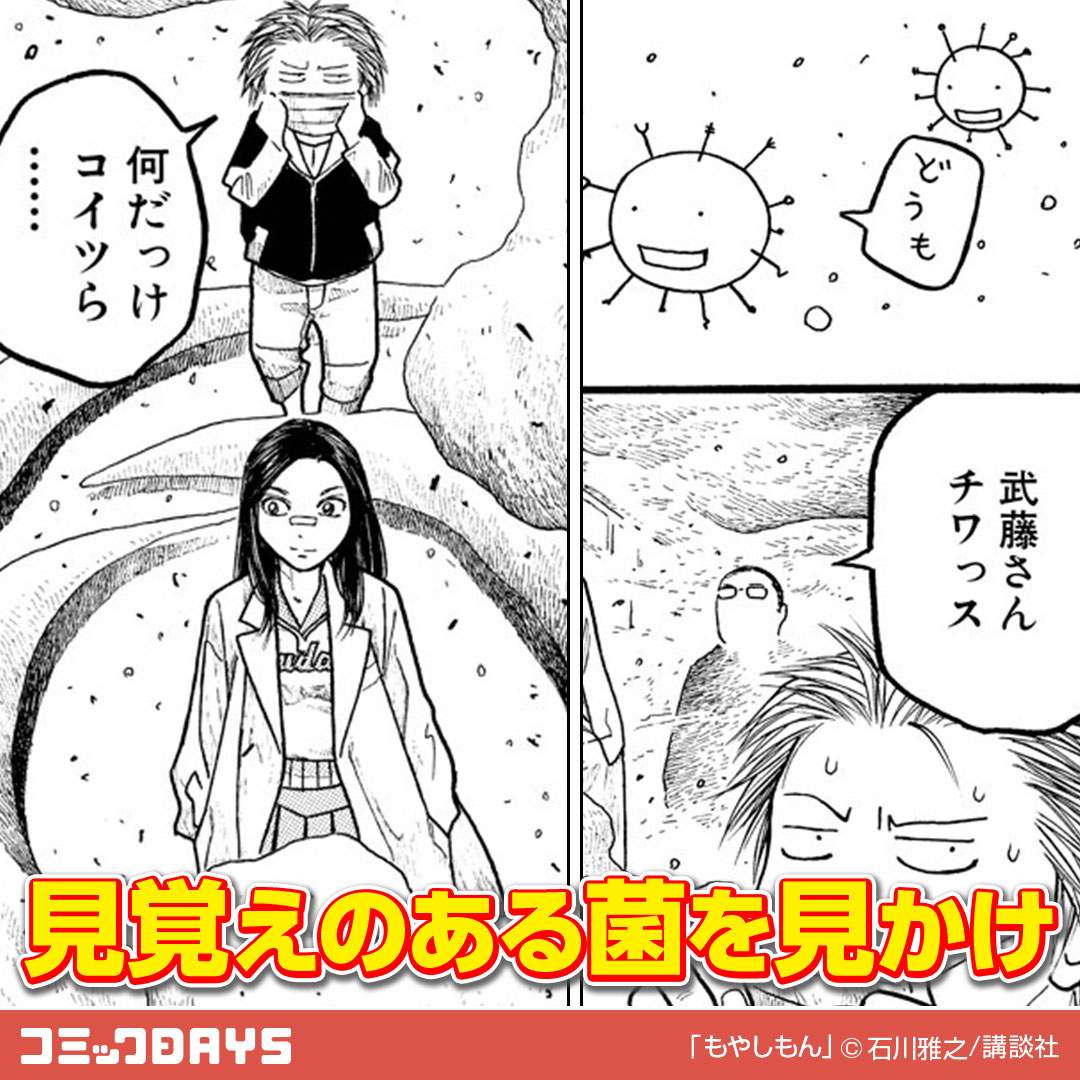 comicdays_team's tweet photo. 菌の視える彼が見た菌は？

A ： インフルエンザ
B ： カビ
C ： サルモネラ

答えは漫画の中で探してね！

#もやしもん