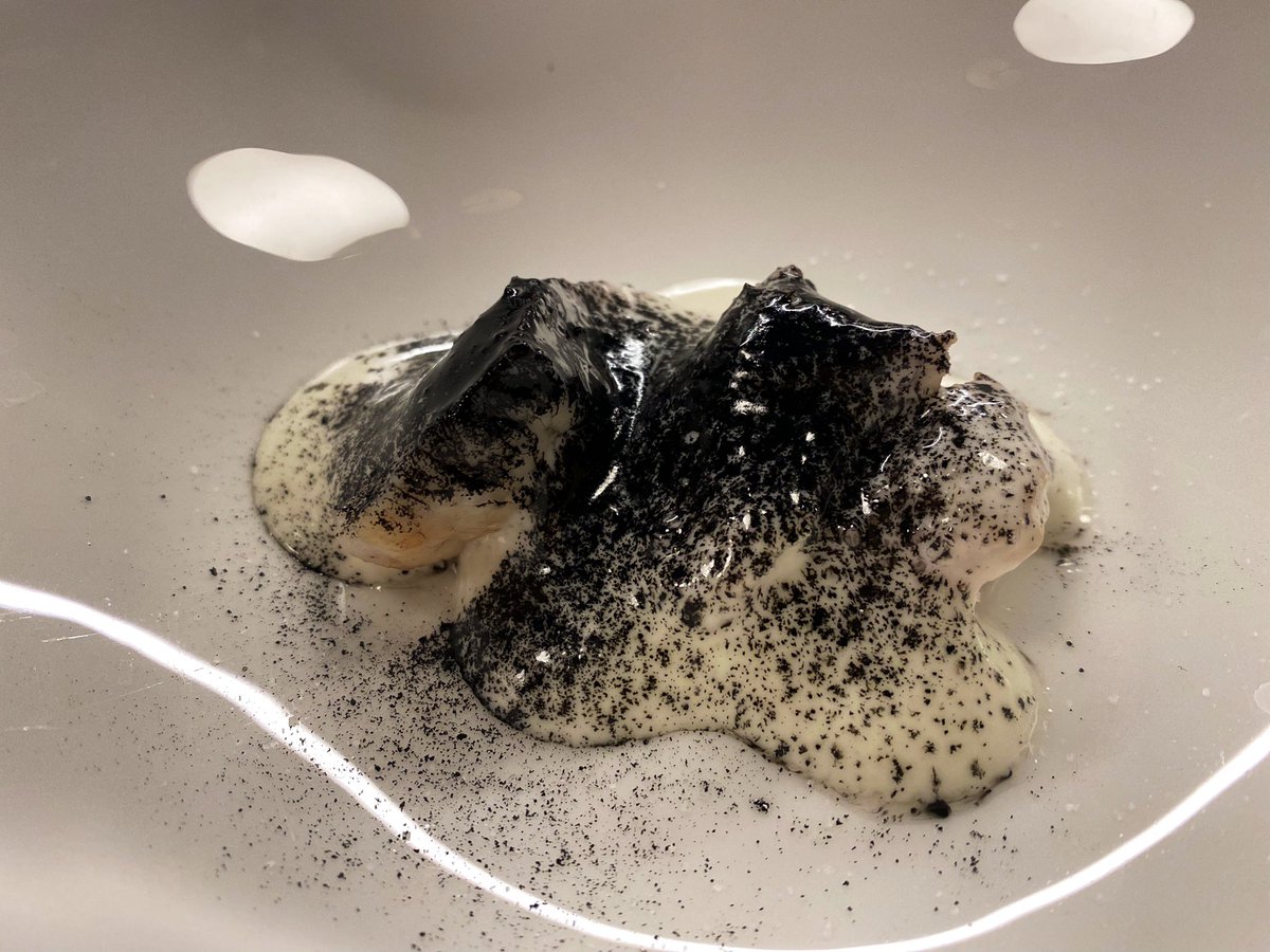 Colmenillas a la crema, ricas!
Brioche, pimiento y presa de bellota en orza , goloson.
El mero con pilpil, aún demasiado terso, pero tremendo.