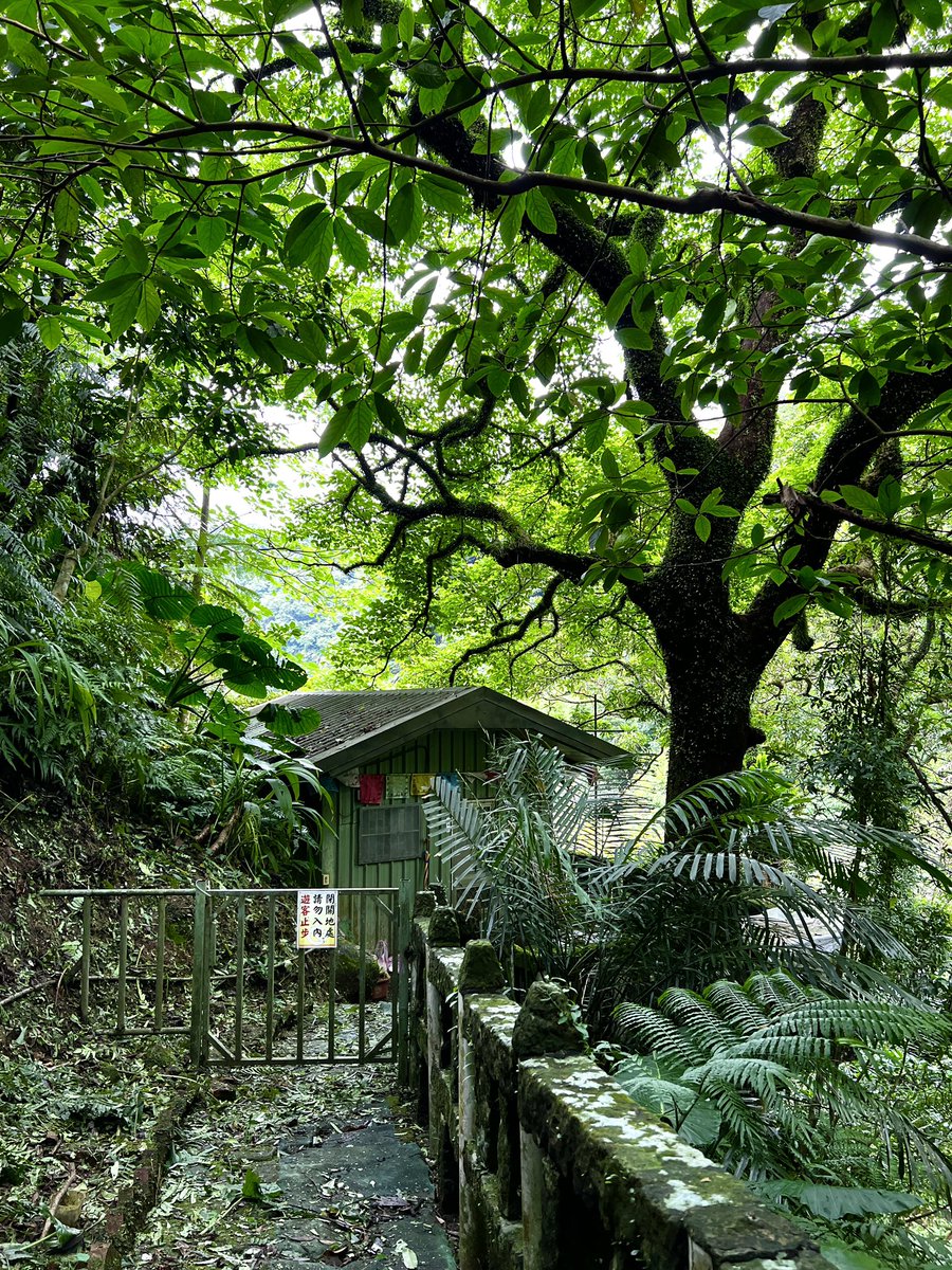 AnushaHiking's tweet photo. I went through some photos and remembered this hut.
This hut was facing Menghuan Waterfall in #Sandiaoling.
I wonder what it’s like to stay there but this is a private property. So please don’t get inside when you are there. #nature #trees #Taiwan https://t.co/mqRFVlzJGE