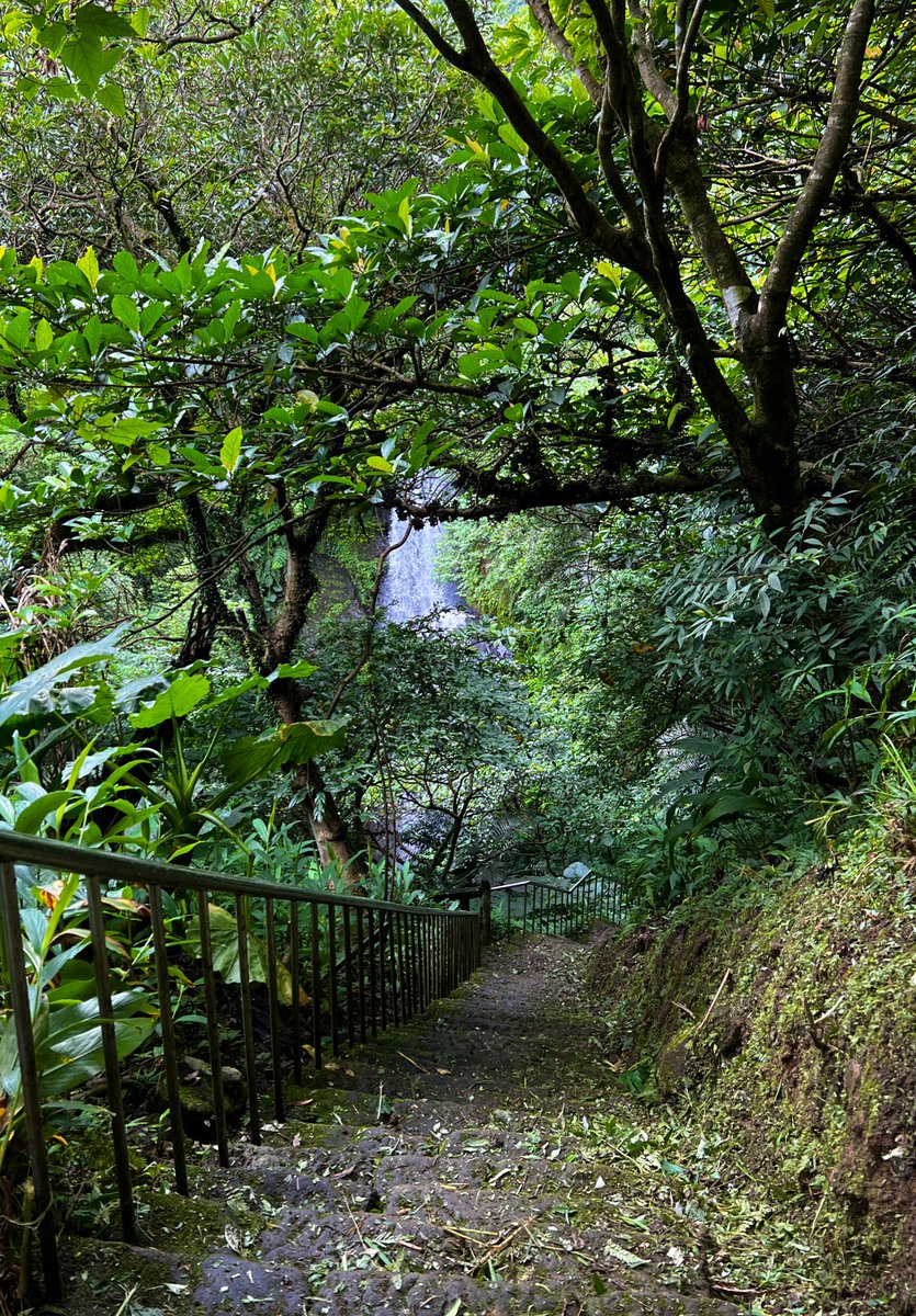AnushaHiking's tweet photo. I went through some photos and remembered this hut.
This hut was facing Menghuan Waterfall in #Sandiaoling.
I wonder what it’s like to stay there but this is a private property. So please don’t get inside when you are there. #nature #trees #Taiwan https://t.co/mqRFVlzJGE