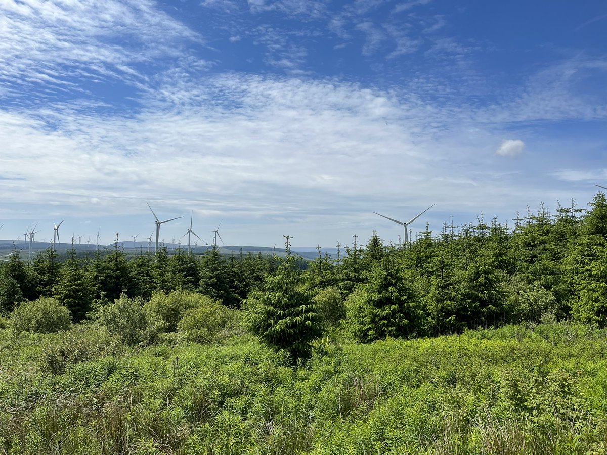 BCAGeog# tweet media