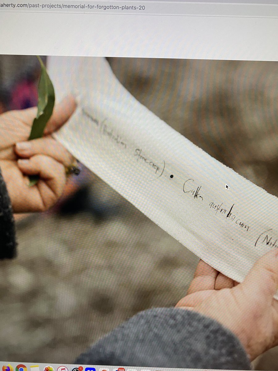 Chiara O'Reilly tweet media