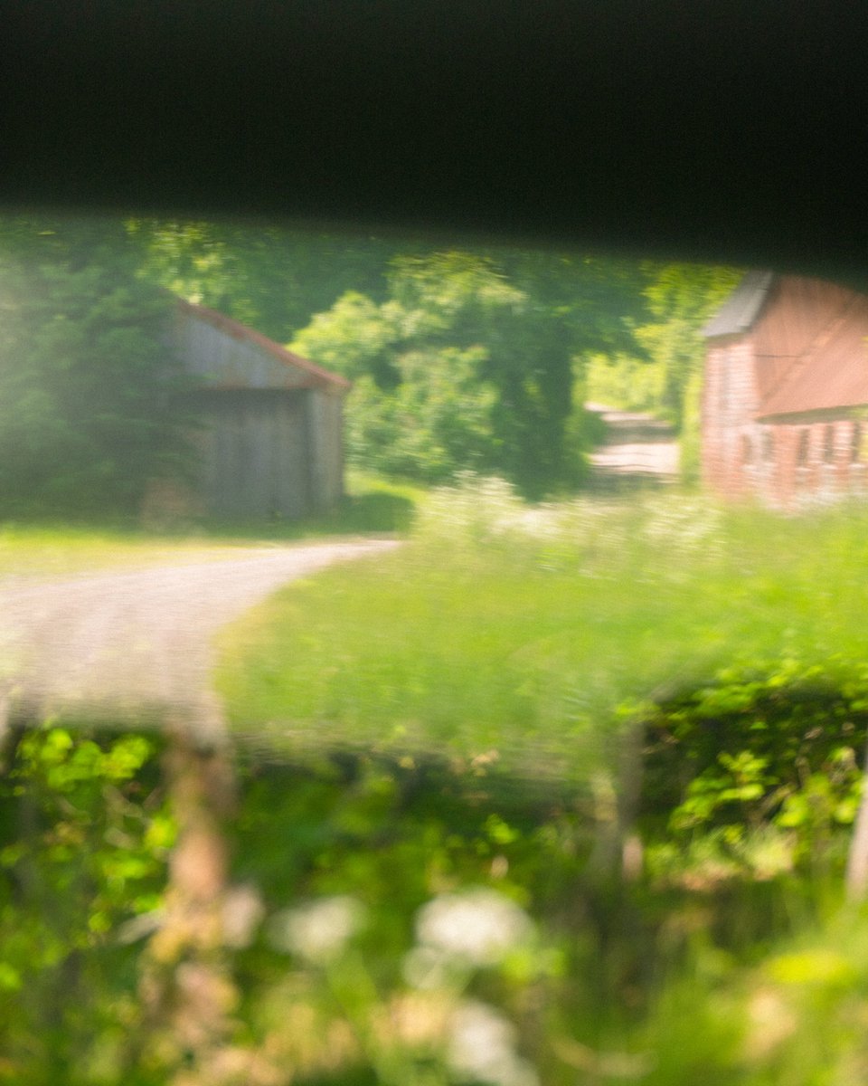 Udkantdk's tweet photo. Blurry days, life is a haze 🥹 pt.5

#NaturePhotography #photography #vintagelens #nature #mirrorshot #itseverydaybro https://t.co/w79EgwKziV