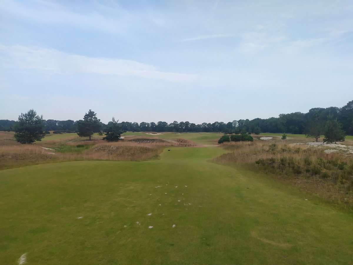 martijn paehlig tweet media