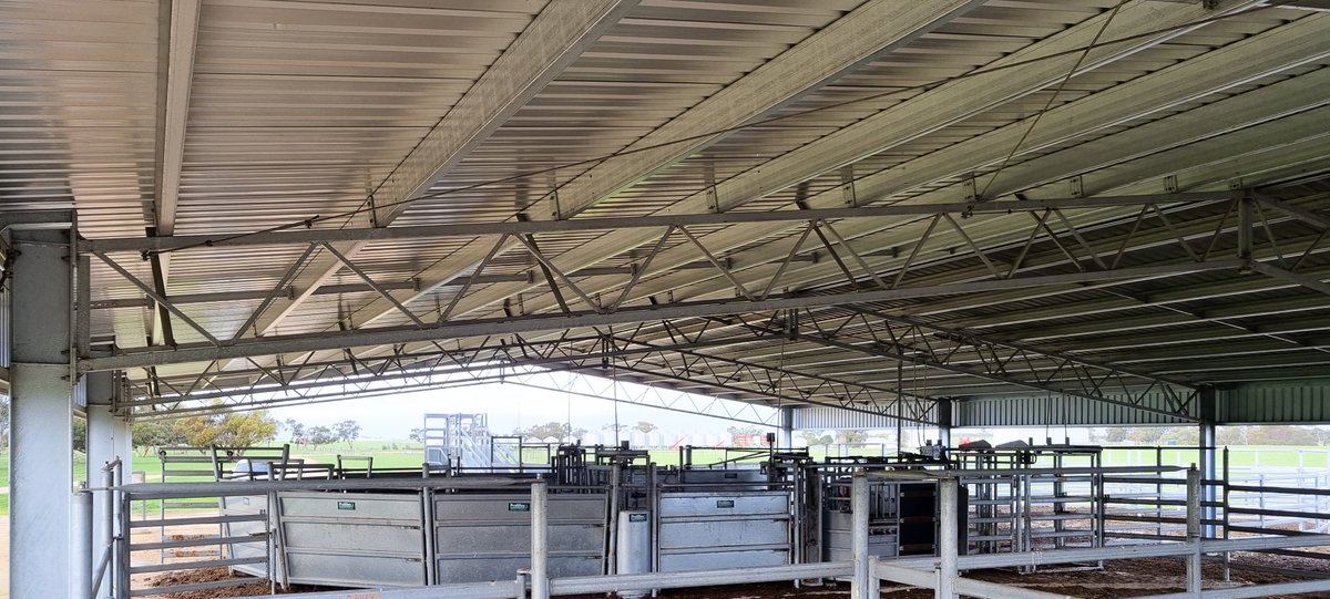 ActionSteel's tweet image. Yard covers prove to be a worthwhile investment at this time of the year!🌧

A 32m x 21m x 3.6m cattle yard cover over @ProWay2000 yards.

📍Culburra SA

#ActionSteel #BigSheds #ProWayAUS #cattle #cattleyards #livestock #yardcover