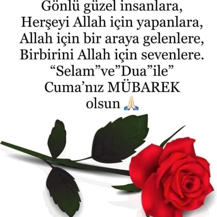 askbeyiserkn's tweet photo. #GÜNAYDIN
#HayırlıCumalar
Gönlü güzel dostlar
#askbeyiserkan https://t.co/bz9mIlNNdj