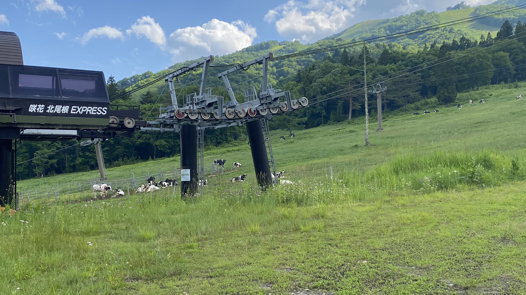 咲花ゲレンデ Twitter Search Twitter