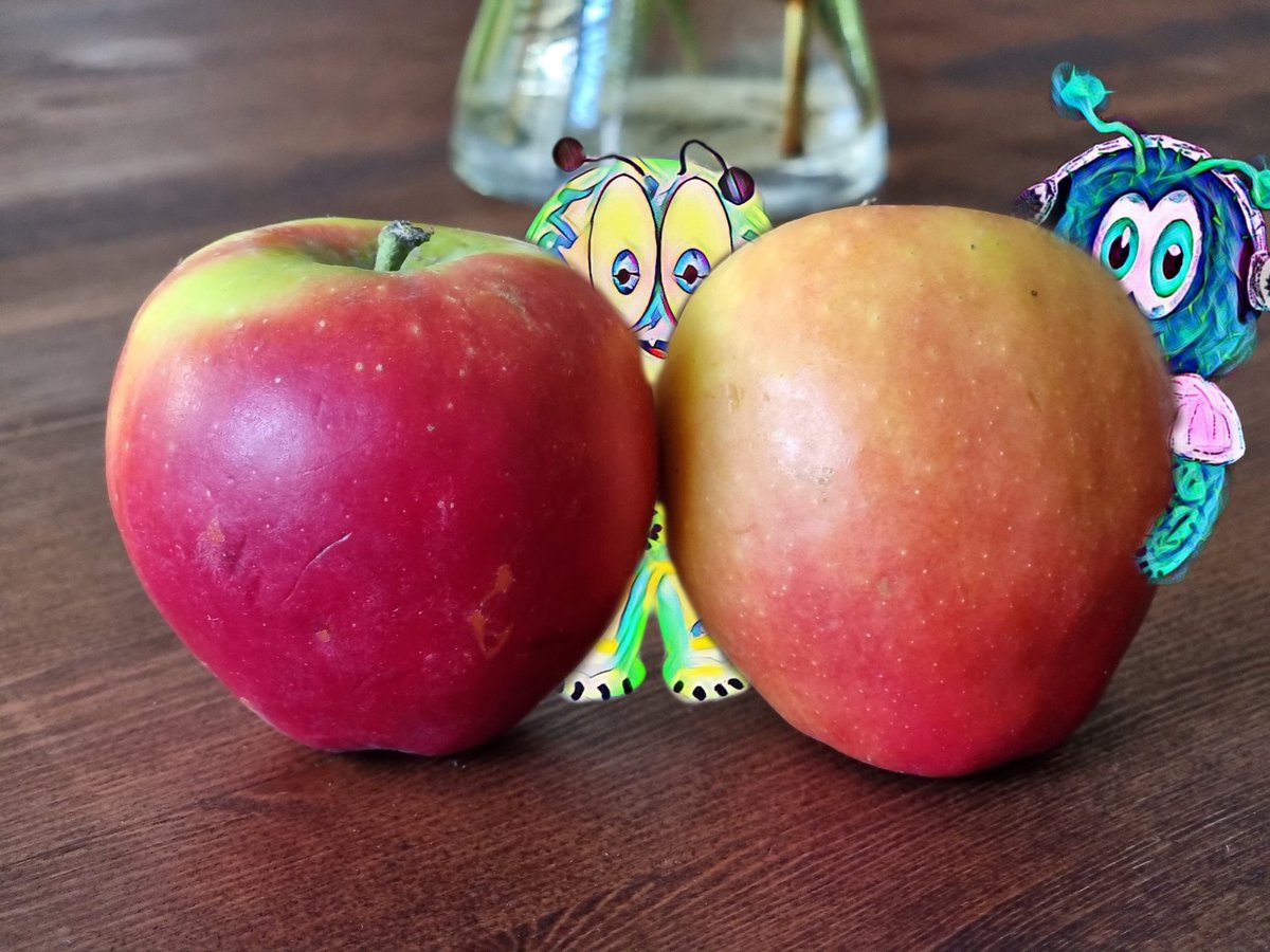 The Mumzels tweet media