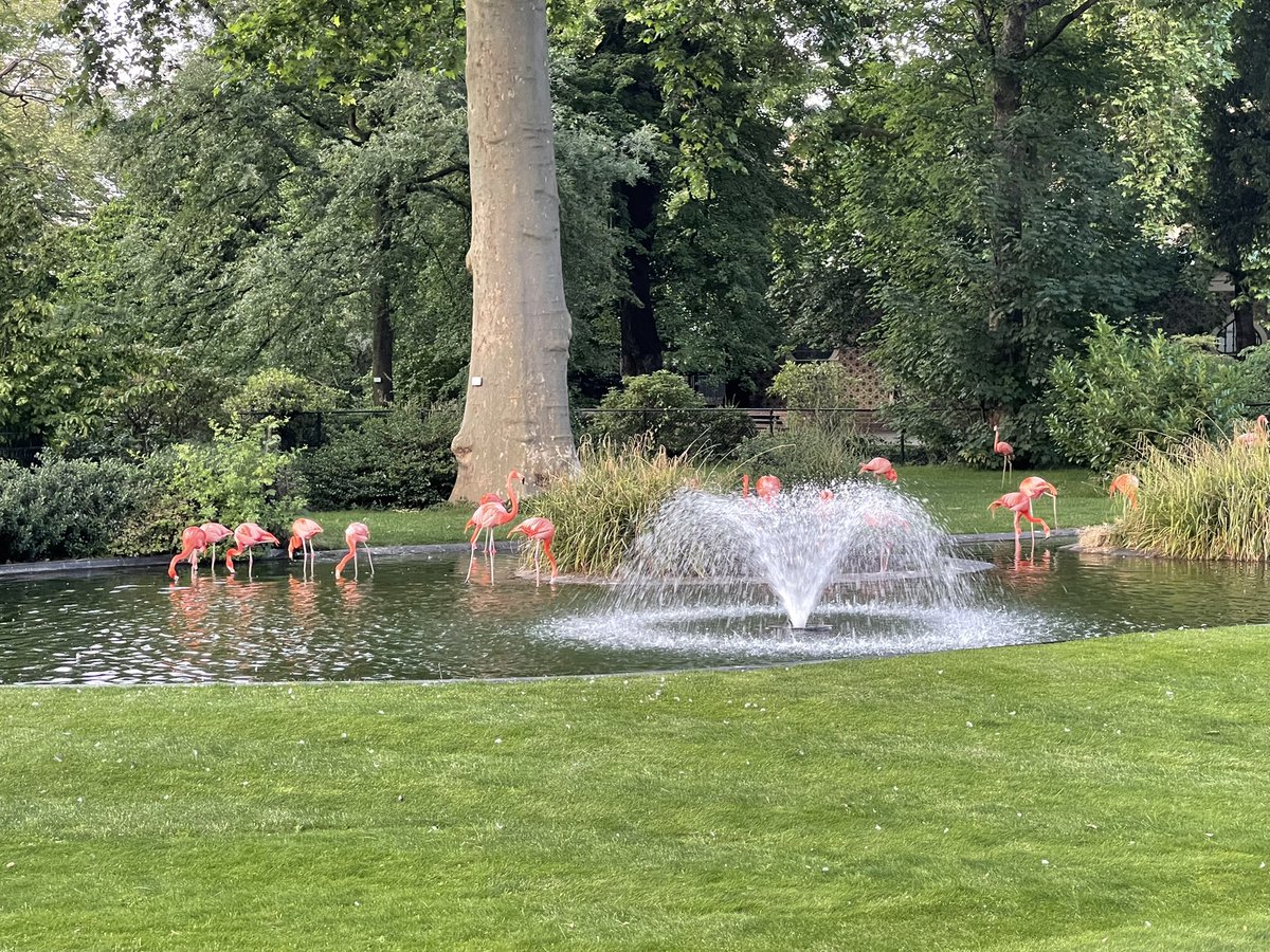 Great company, Great Food = Great function. 

Well done <a href="/ERC_resus/">ERC - European Resuscitation Council</a> last night <a href="/Laerdal_UK/">Laerdal Medical UK</a> @LaerdalMedical <a href="/RQIPartners/">RQI Partners</a>