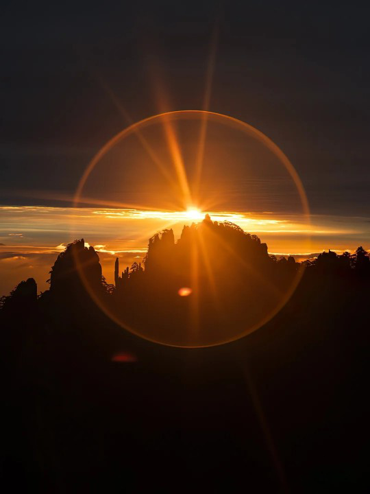 SunsetSnaps's tweet image. RT @emartus_inc: ❃❃❃ Nice Saturday 💛💚
____________________
#EMART #EMARTUS #photography #photographers  #PhotographyIsArt #NaturePhotography #NatureBeauty #Trending #goodmorning #Sunlight #sunrise #sunset #sunsetphotography #sunsets