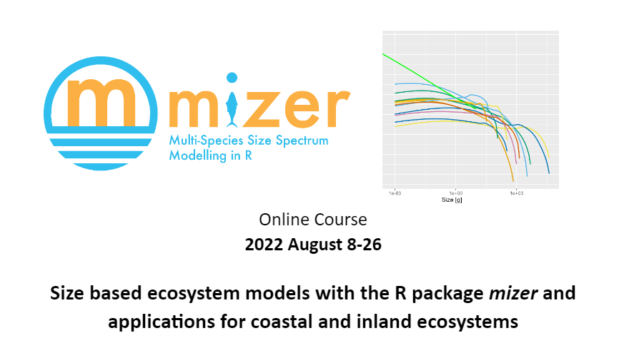 Are you interested in size based multi-species models? Join this free online course and invite your friends. <a href="/mizer_model/">mizer</a> <a href="/69kno/">Ken H. Andersen</a> <a href="/SizeEcology/">Size Ecology Lab</a> <a href="/gustavdelius/">Gustav Delius</a>  <a href="/SPECTRESizeSpe1/">SPECTRE_SizeSpectrumReadingGroup</a> 
More info docs.google.com/document/d/1zp…