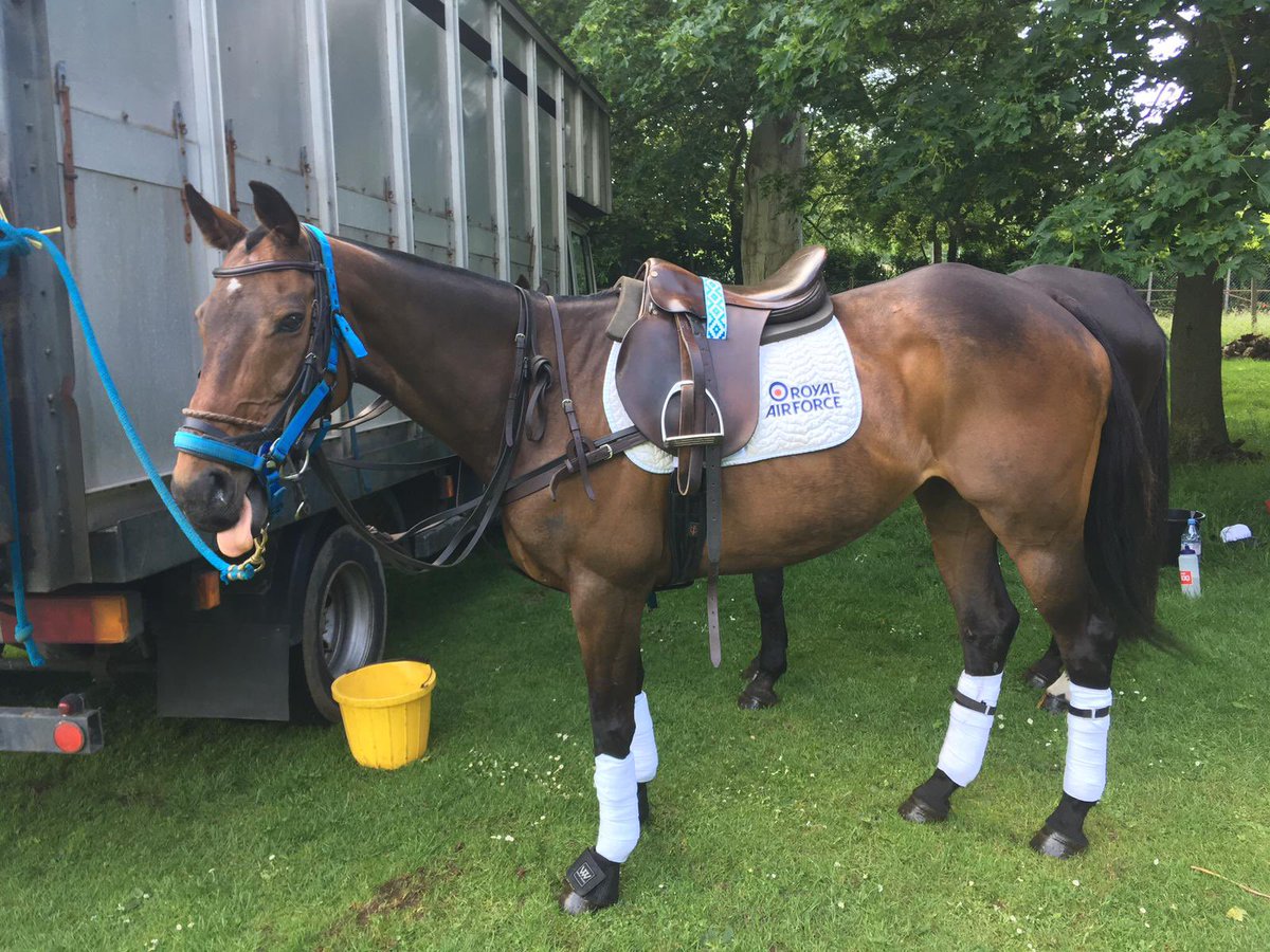 We’ve got that #FridayFeeling! Only #24hrs to go til our <a href="/RoyalAirForce/">Royal Air Force</a> Polo Benefit <a href="/HamPoloClub/">Ham Polo Club</a>. The ponies are ready, we’re ready, we hope our amazing sponsors are ready too for an action packed day in the #saturdayshowdown.  Augustcollection.co.uk masraflondon.com