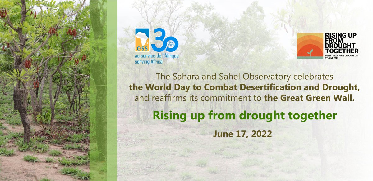 OSS_Comms's tweet photo. Fighting #drought in #Africa
Committed to the #Great_Green_Wall @OSS_Comms, in #partnership with its #African peers, for the benefit of current &amp; future generations 
#DesertificationAndDroughtDay 
#oss30years
https://t.co/HwjNB8unYh https://t.co/vmgblE0TSs