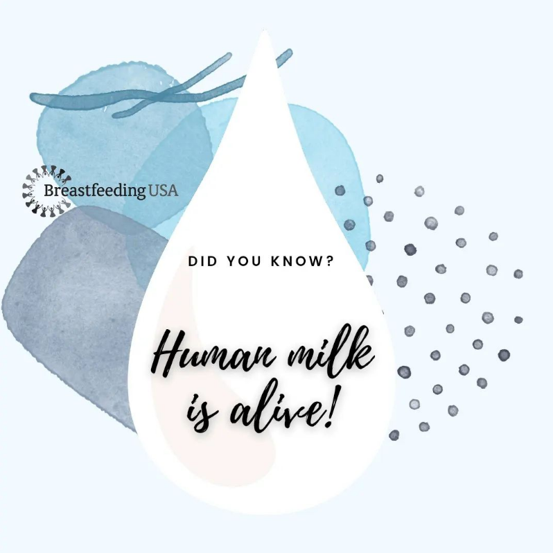 Bf_USA's tweet photo. Human milk is more than nutrition! It contains living cells... leukocytes, epithelial cells, stem cells and probiotic bacteria. Our bodies are incredible!
#HumanMilk #Breastfeeding #Lactation #Chestfeeding #BreastfeedingMatters #Sciencematters #Parenthood #Newborn https://t.co/cUh02hqxFR