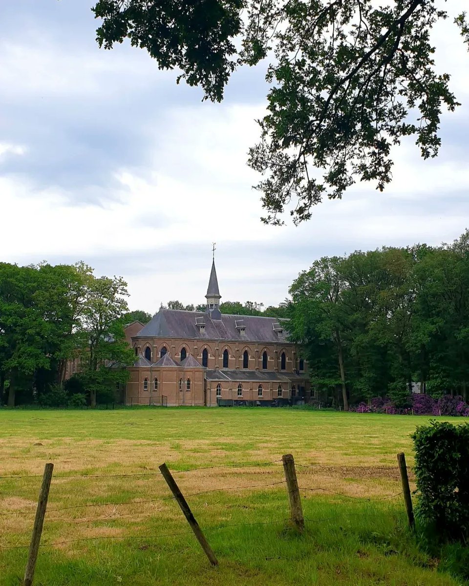 Van Gogh Nationaal Park tweet media