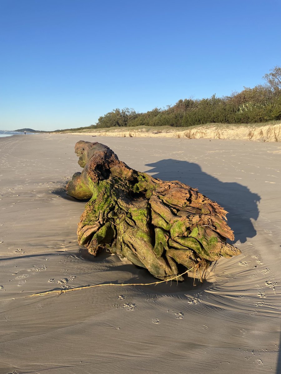 mello444's tweet image. Scenes from a different ‘hood