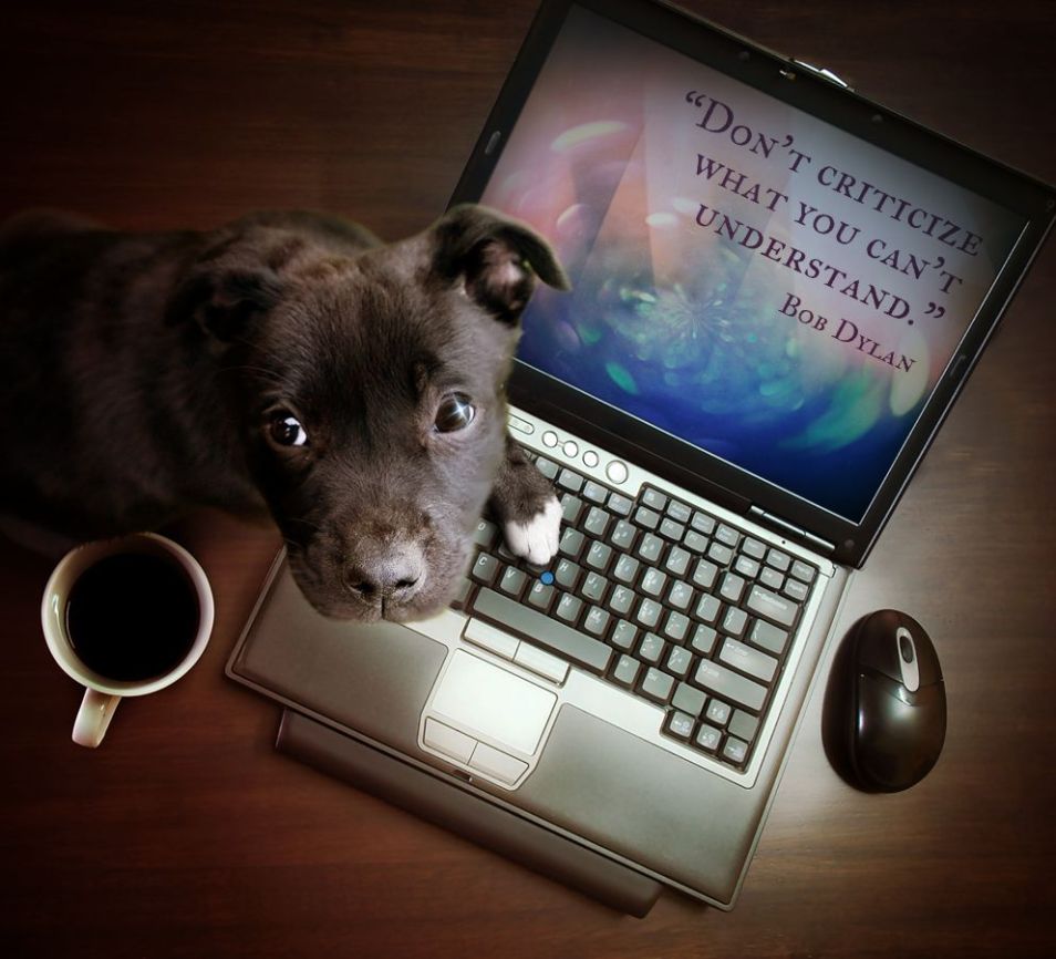 yourhelpsales's tweet photo. Dont critisize what you dont understand https://t.co/TGafh4vhSe