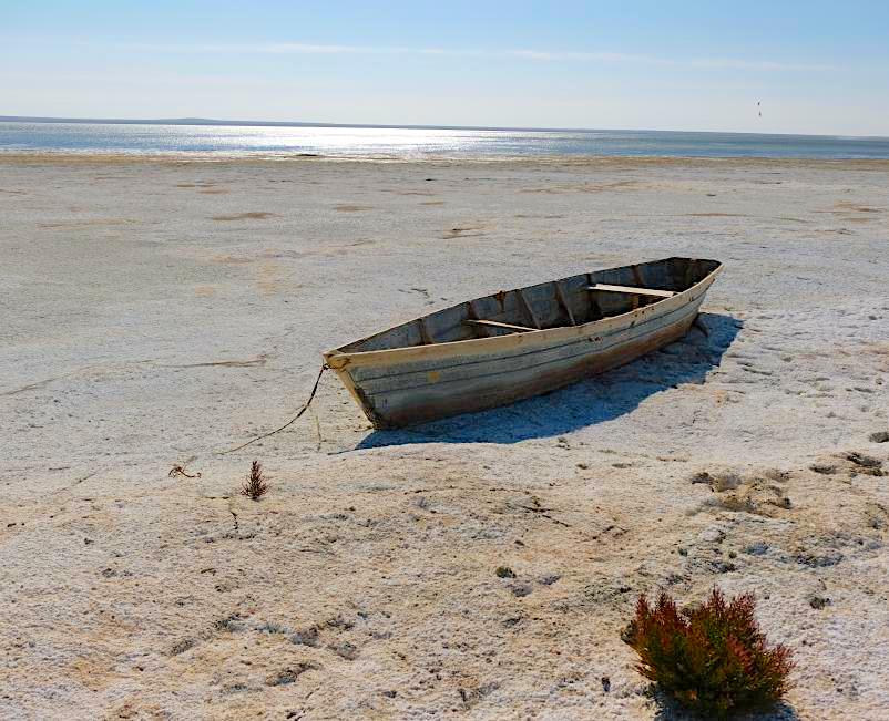 UNDPEurasia's tweet photo. The Aral Sea🌊 was once the world’s 4th largest lake, but it has now shrunk to 10% of its original size. 

With our partners, we're working to combat the effects of #desertification, restore productivity to the land &amp; support better livelihoods. 

🔗https://t.co/feT9jHb1eI https://t.co/XyMmeFtMkO