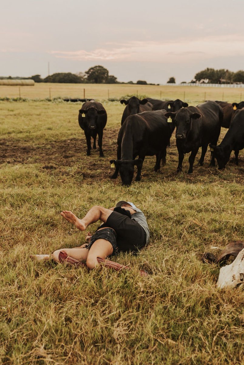 Al🦋✨ tweet media