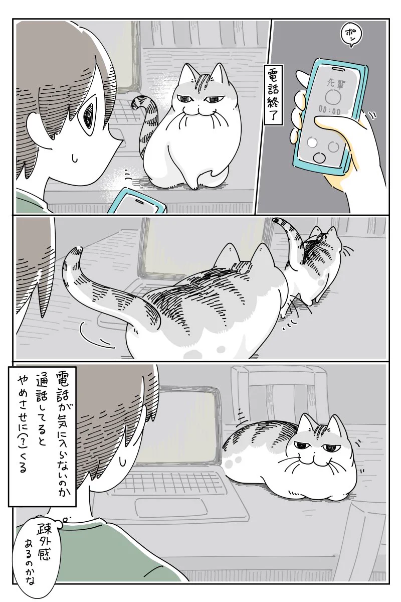 電話をしていると近づいて来て･･･！電話中に猫が取るある行動を描いた猫漫画！