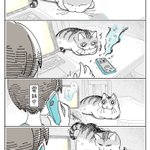 電話をしていると近づいて来て･･･!電話中に猫が取るある行動を描いた猫漫画!