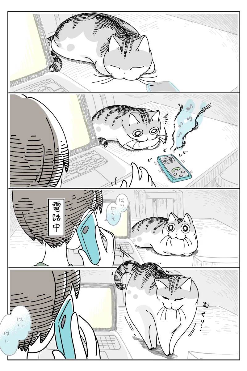 電話をしていると近づいて来て･･･！電話中に猫が取るある行動を描いた猫漫画！