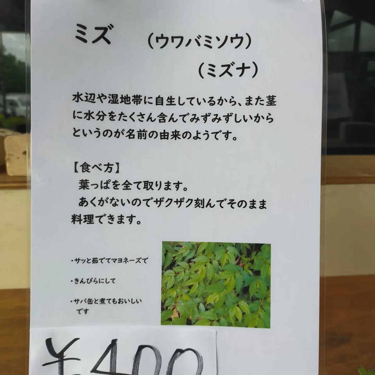 furusatonagawa's tweet photo. ながわ山彩館にてミズ(ウワバミソウ)が入荷いたしました。
珍しい食べ方を教わったのでご紹介したいと思います。
葉の部分をとって茹でる。
キムチの素とサキイカで和えると絶品のおつまみに！
ぜひお試しください(*^-^*)

#奈川の暮らし
#ウワバミソウ
#ミズ
#奈川
#山菜 https://t.co/S3qpIvU46C