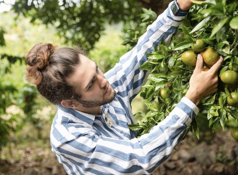 Did you know we have citrus trees on our farm? We also have lychee, guava, and mango trees that will soon be in season! Stop by our fruit stand at our check in desk to try some fresh fruit and purchase some on your way out! 
(Don't forget, your donation supports our farm stay!🤙🏼)