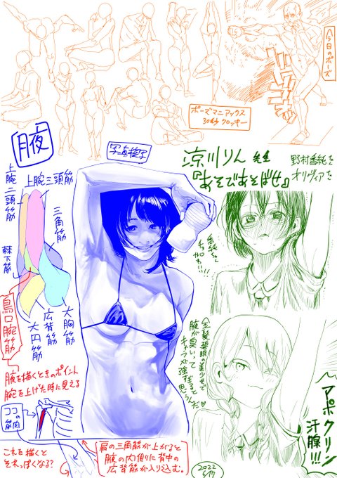 【今日の模写練】腋といえば、たにし先生の「腋毛の生え際を上下で描き分ける」表現が画期的だったと思うんだ。アレはすごくえっちィ。 