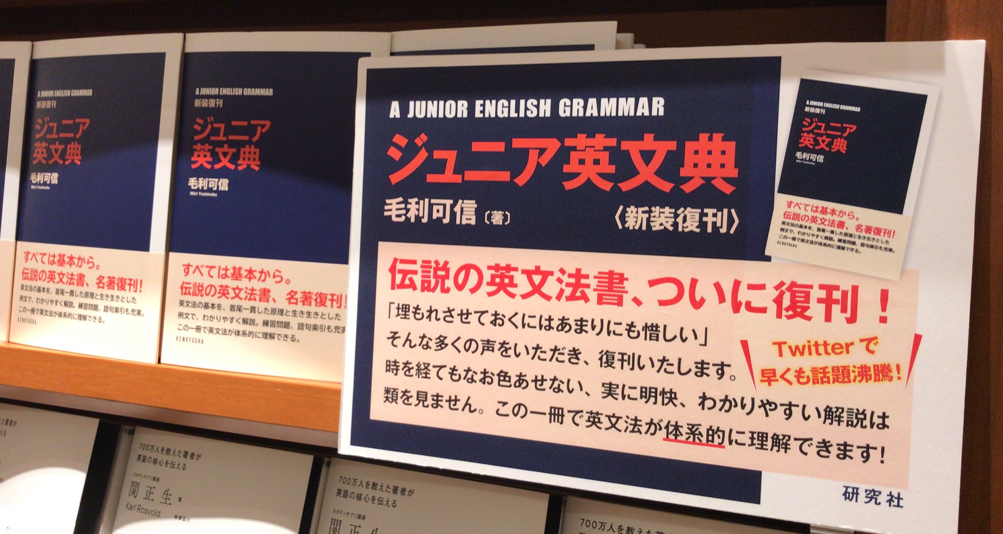 希少】 ジュニア英文典 毛利可信 ジュニア英文典〈新装復刊〉 | 毛利 可信