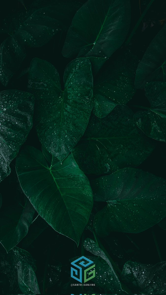 _sharelocation's tweet photo. @santriganjing #gcam #shamim #Indonesia #phonegrafy #photography #sinematik #lightroom #WonderfulIndonesia #lr #embun #sg #santriganjing #sunrise #alam https://t.co/NXt4NW9RWV