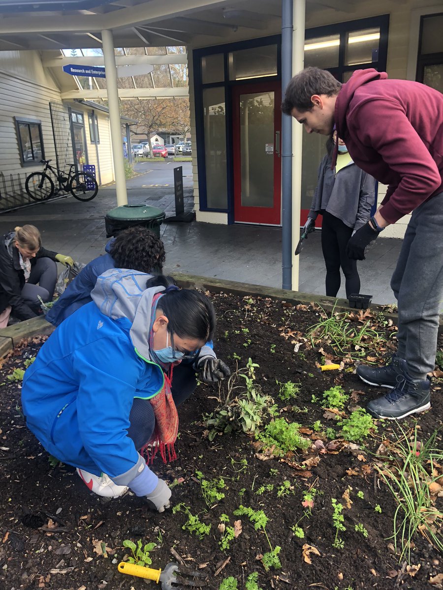 A great lunchtime getting our hands dirty. The doctoral garden is for wellbeing and community. Fantastic to be back on campus <a href="/GrsMassey/">GRS MasseyUniversity</a> <a href="/MasseyUni/">Massey University</a>