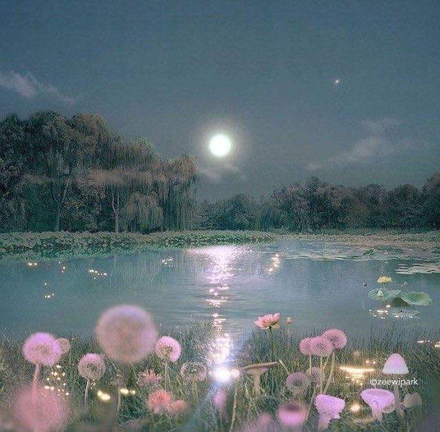 ° .˚ 𖧷 𝗐𝗁𝖾𝗋𝖾 𝗍𝗁𝖾 𝖿𝖺𝗂𝗋𝗂𝖾𝗌 𝖿𝗋𝗈𝗅𝗂𝖼 𝖺𝗍 𝗇𝗂𝗀𝗁𝗍 ༊ ﾟ𖦹